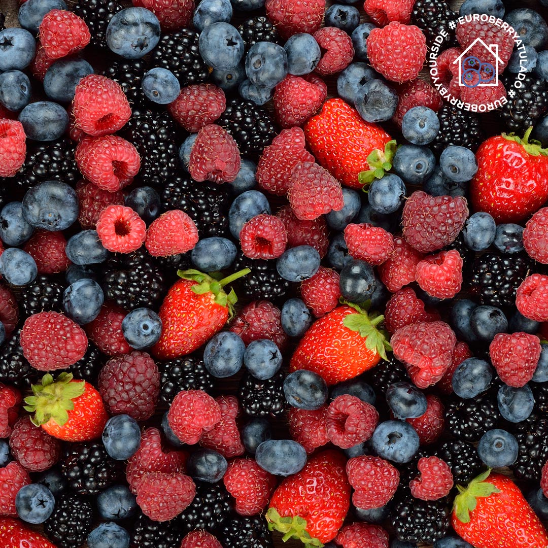 EuroberryES's tweet photo. Nuestras #berries brillan por sí solas ✨ Repletas de beneficios para prevenir enfermedades como la diabetes, el cáncer, el colesterol, el alzheimer... ¡Disfrútalas mientras te cuidas! 😋  #euroberry https://t.co/kfV31jqteH