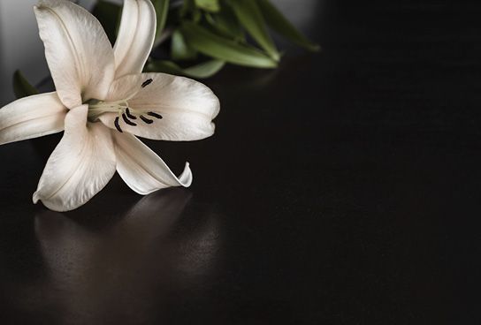 During these difficult times, our experienced and caring team are here to help. Funeral arrangements can be made by telephone or video call and paperwork completed online. For more information on funeral arrangements during COVID-19 click here: buff.ly/2X3FxxG