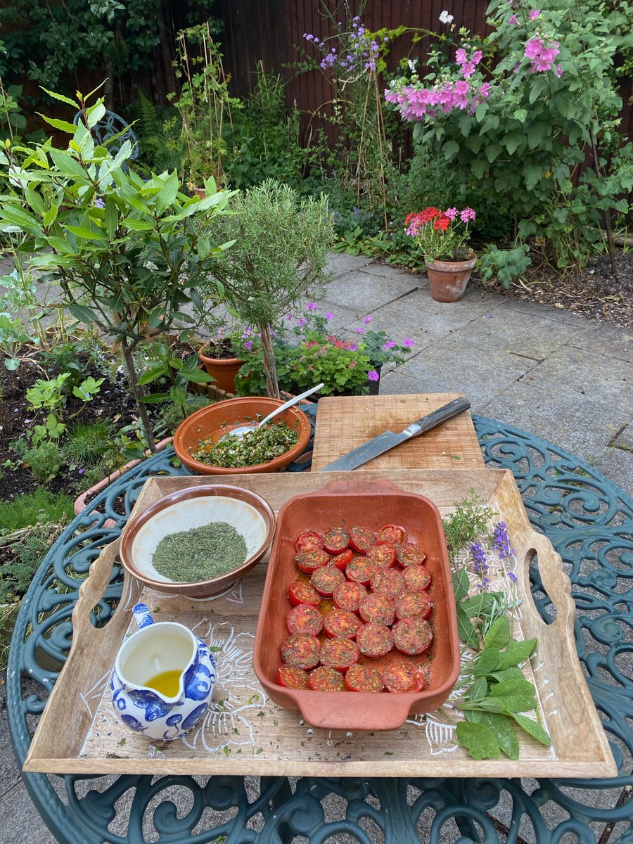 hemartist's tweet image. Forest of Imagination. Making Herbes de Provence. Lavender oregano bay thyme rosemary sage tarragon mint. dried and ground, sprinkled onto roasted tomatoes. #FOI2020 #CreativityandWellbeing #VirtualForest2020 @thebigdraw @Demuths