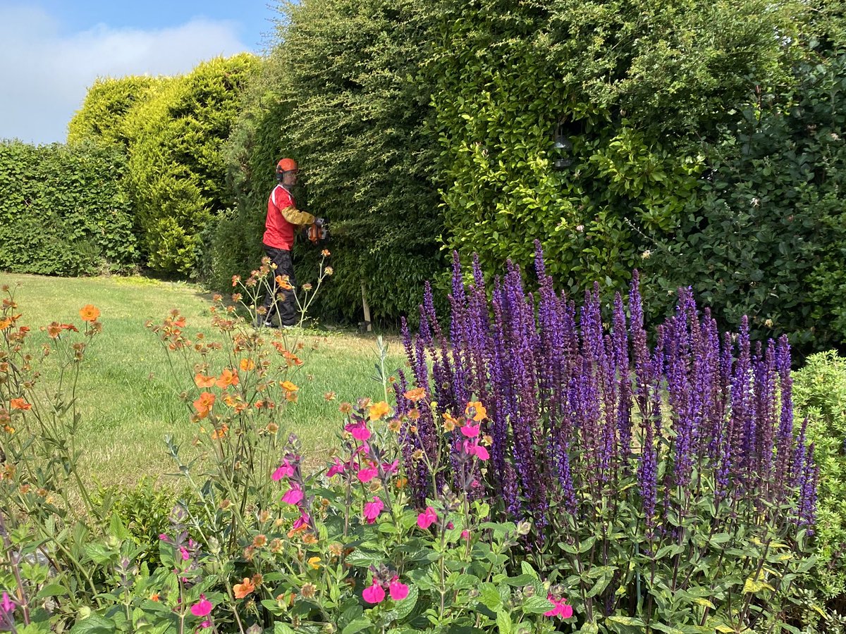 TyddynIsaf's tweet photo. The hedges are growing like crazy at the minute - the work on a caravan park doesn’t stop, but our income has.  @fmwales we need a date for reopening to plan for the long hard winter ahead - jobs are at risk. #protecttourismjobs https://t.co/eE1c2Ksg0M