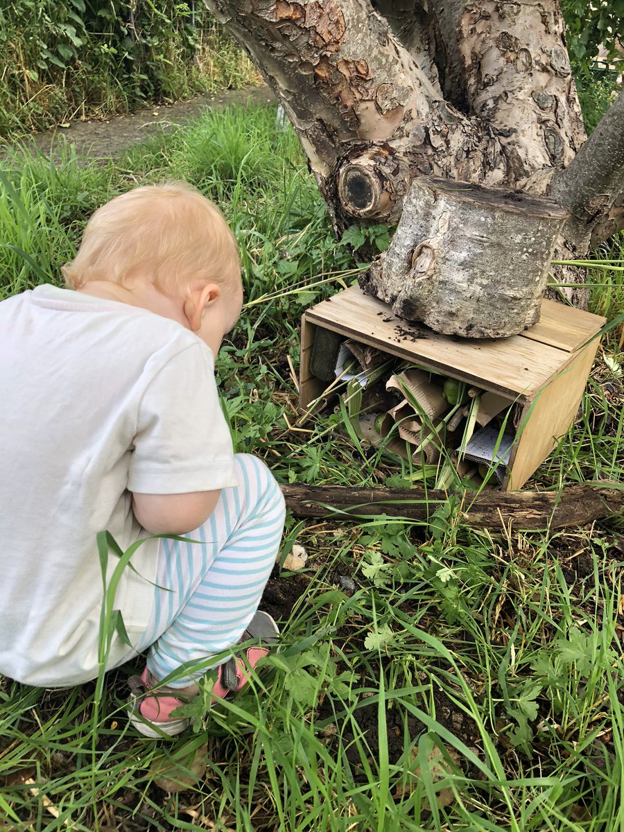 Enjoying watching the visitors come and go from the #bughotel we made in our garden <a href="/Eunomia_RandC/">Eunomia Research & Consulting</a>