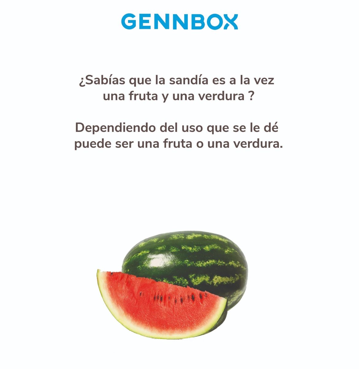 gennbox's tweet photo. ¿Sabias que la sandía contiene muchos nutrientes, como la vitamina A, B, C... Aporta licopeno, no tiene grasas, es baja en calorías, tiene efecto antioxidante y proporciona una hidratación máxima? 🍉🍉🍉🍉 https://t.co/uKj9K1U9fA