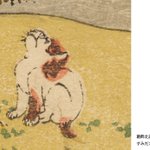 main image of this resource