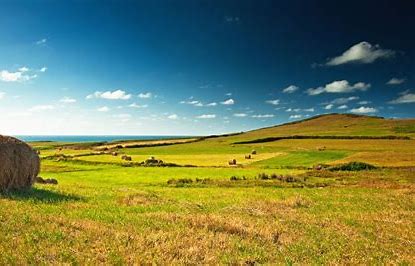 @urlopwkraju na Instagramie serdecznie polecamy najnowszy post i do obserwacji nietuzinkowej kampanii 
instagram.com/tv/CBdtfieJdfK… #urlopwkraju #egzaminósmoklasisty2020 #matura2020 #lublinie