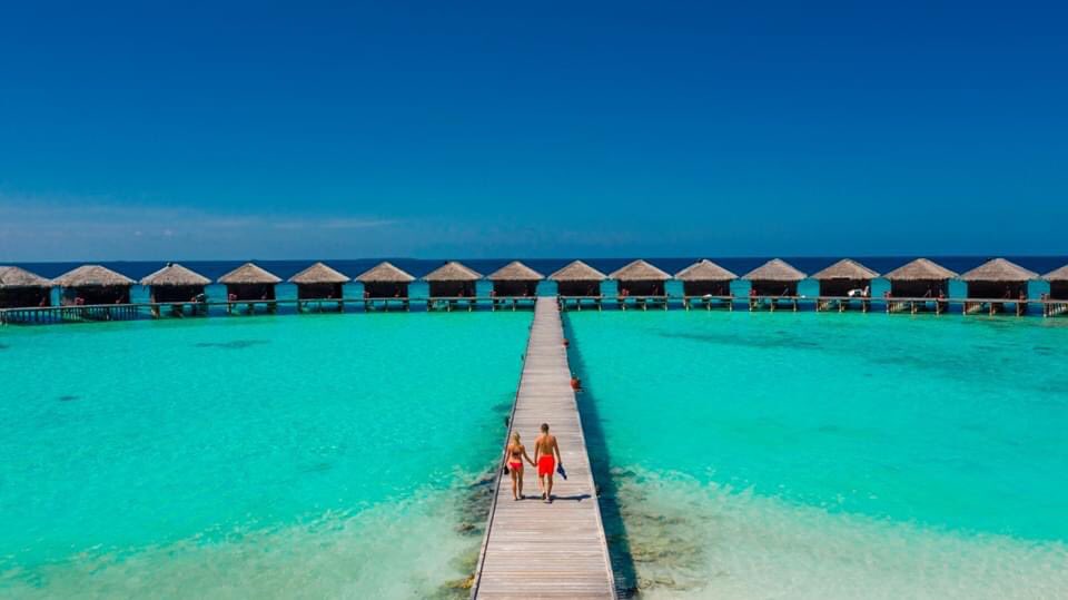 Infinity_Brett's tweet image. Depart 14 October 2020

From £1499 pp

7 nights Half Board

Sea Plane Transfers

Flights with Etihad

Message for further information!