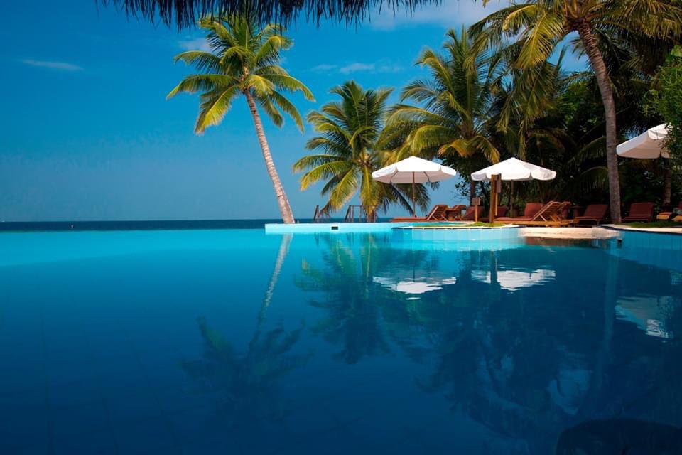 Infinity_Brett's tweet image. Depart 14 October 2020

From £1499 pp

7 nights Half Board

Sea Plane Transfers

Flights with Etihad

Message for further information!