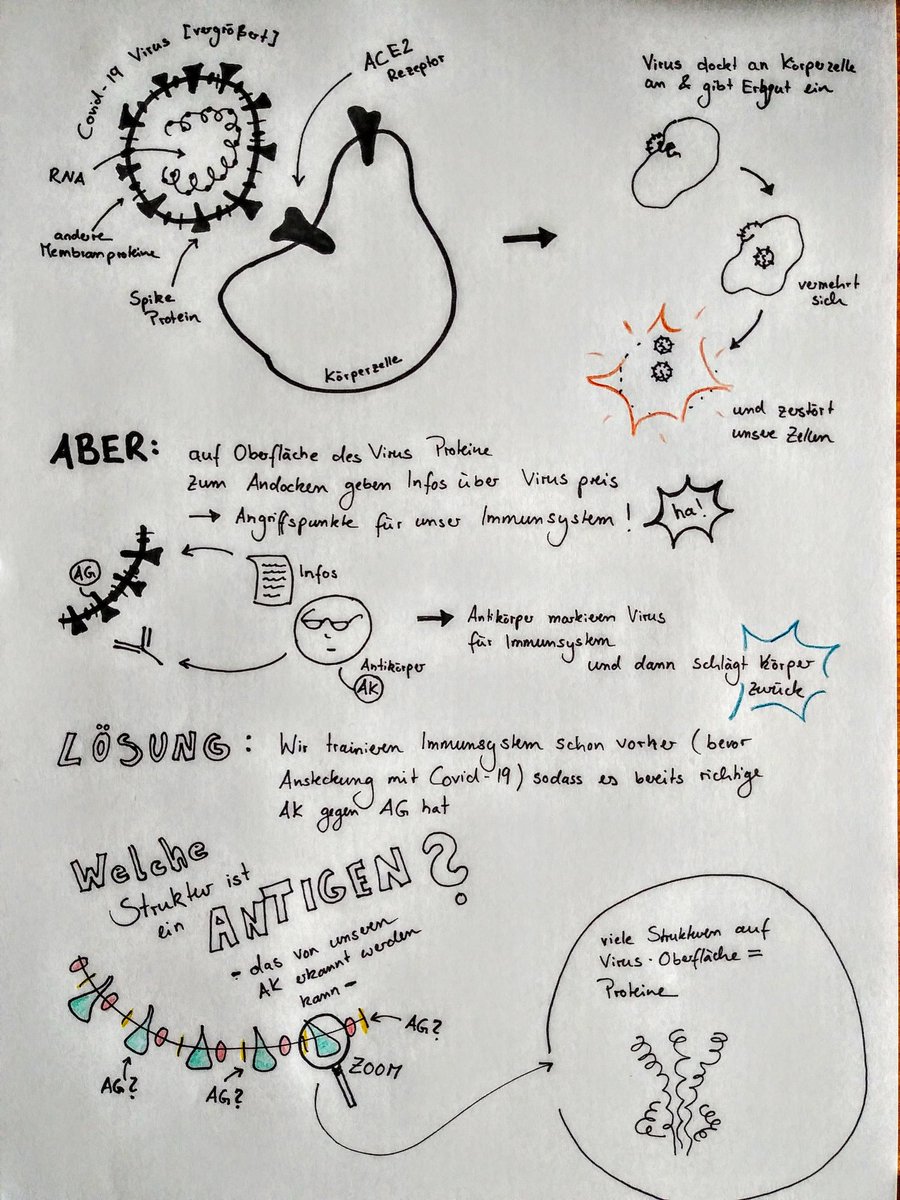 #storyboard in #sketchnote style
🎬✏️🗒️
<a href="/ju_ca_ah/">Julia C. Ahrend</a> hat das #Video schon umgesetzt ➡️ zu finden bald in unserem digitalen #Escape Game <a href="/houseoftalesde/">HOUSE of TALES</a> 

#scicomm #gamification #Covid_19 #wisskomm