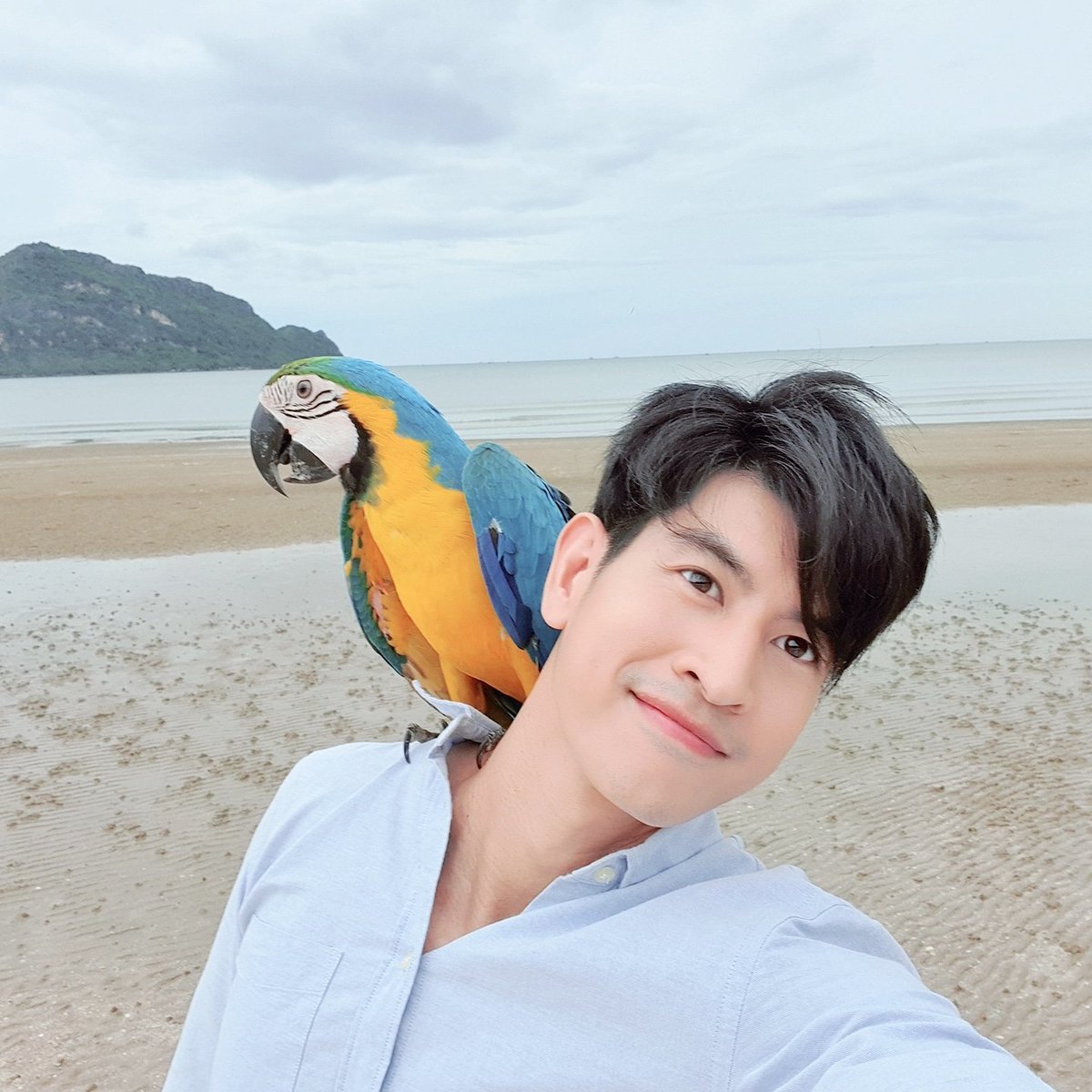 นกของฉัน🐥🤗

#เอเอคนเลี้ยงนก #blueandgoldmacaw