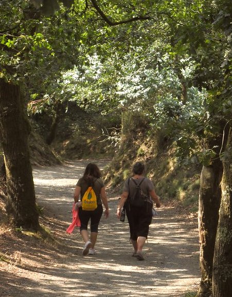 Este verano ofrecemos descuentos para todos los sanitarios. 
Este verano hago el Camino (pero sin mochila).

#caminoANDenglish #Turgalicia #Galicia #EsteVeranoHagoElCamino #EspañaTeEspera  #Verano2020 #QuedamosenGalicia #galiciamola <a href="/concellosconenc/">ConcellosconEncanto</a> <a href="/TheLocalSpain/">The Local Spain</a>
