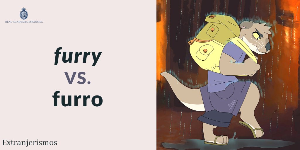 #Extranjerismos | «furry»
 
En español ya se documenta el uso de la voz «furro», femenino «furra» (del adjetivo inglés «furry», que significa ‘peludo’ o, referido a muñeco, ‘de peluche’), para designar al apasionado de los animales antropomórficos de ficción.