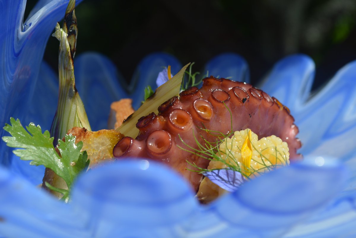 alancoxon's tweet image. ###