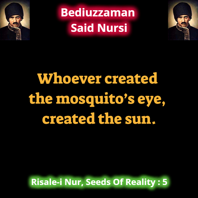CollectionNursi's tweet photo. Whoever created the mosquito’s eye, created the sun. #SeedsOfReality https://t.co/unxTjDS7tl