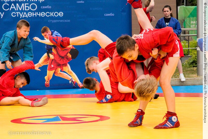 всероссийская федерация самбо картинки. всероссийская федерация самбо логотип. турнир памяти с. вфс самбо. федерация самбо.