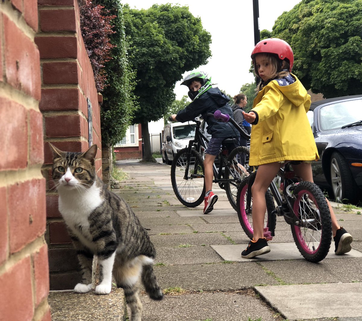 #HoldStill2020 Daily lockdown ride come rain or shine with three-legged cat passing by.