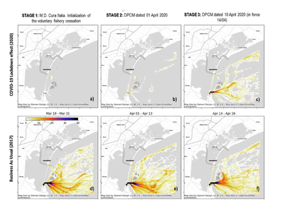 Daniel Depellegrin tweet media