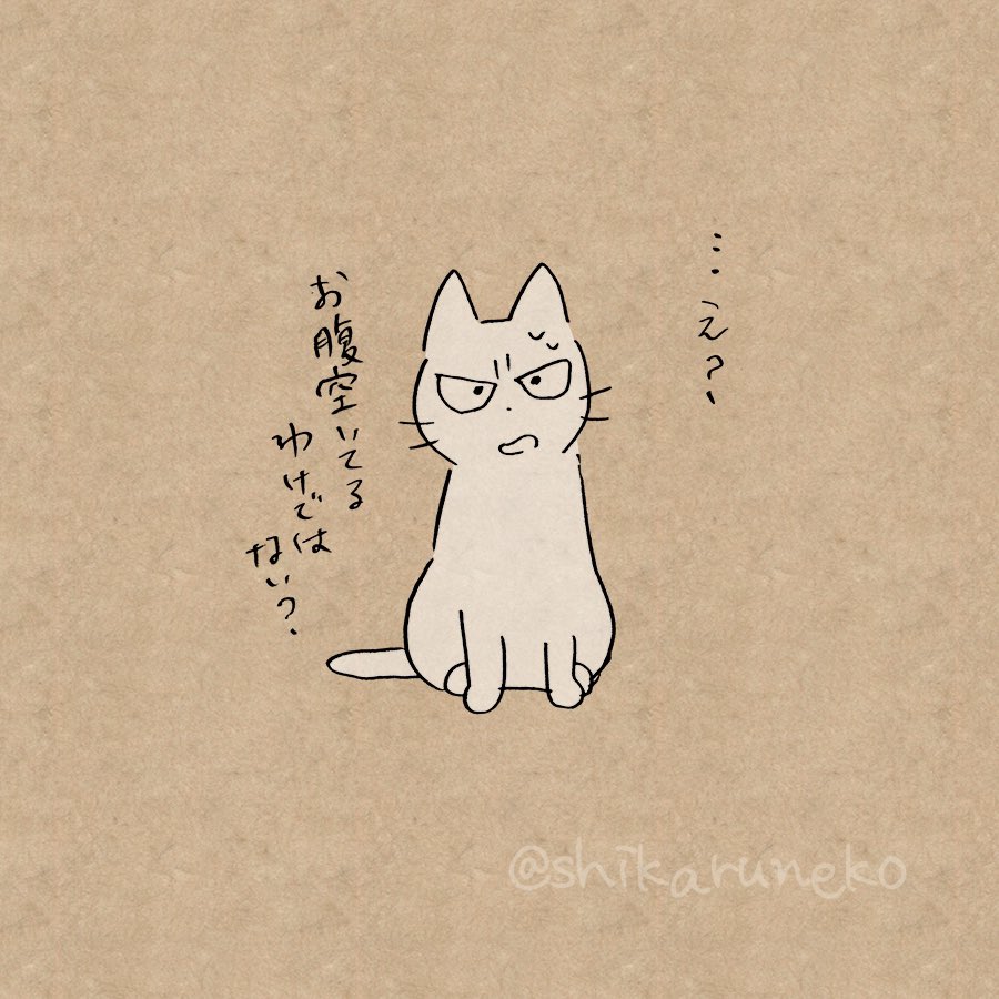 惰性で間食してしまう人を叱ってくれる猫 