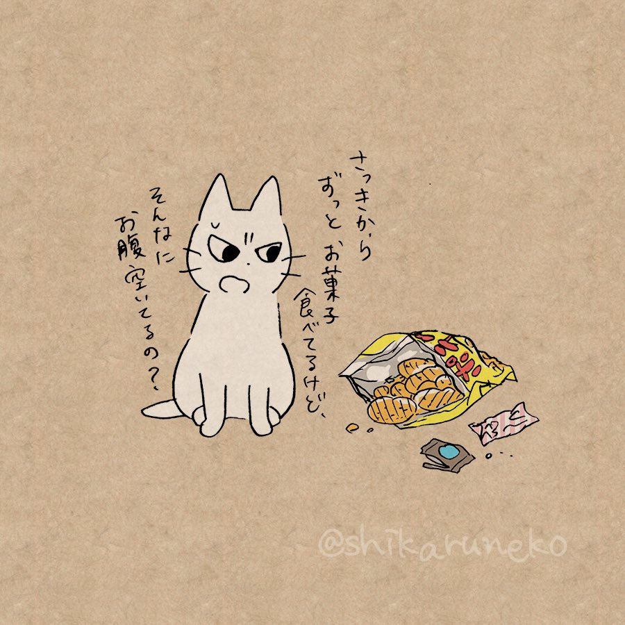 惰性で間食してしまう人を叱ってくれる猫 