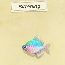 18. bitterling....they so smolfunfact : this species of fish was once used to do pregnancy tests for women