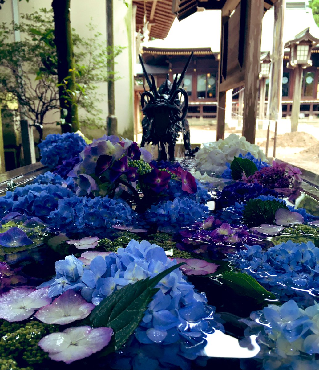 Happy さくら市 今宮神社 紫陽花綺麗でした 花手水の紫陽花にも癒されますね 紫陽花の限定御朱印もありましたよ 今宮神社 さくら市今宮神社 さくら市 紫陽花 花手水紫陽花 花手水舎 アジサイ 限定御朱印 御朱印 栃木県 Happy さくら市 今宮神社 紫陽花綺麗でした 花手水の紫陽花にも癒されますね 紫陽花の限定御朱印もありましたよ 今宮神社 さくら市今宮神社 さくら市 紫陽花 花手水紫陽花 花手水舎 アジサイ 限定御朱印 御朱印 栃木県
