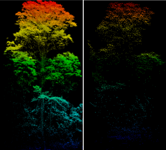 SFFGS_UF's tweet photo. New study from the #SPECLab: Aboveground Biomass Estimation in Amazonian Tropical Forests: a Comparison of Aircraft- and GatorEye UAV-borne LiDAR Data in the Chico Mendes Extractive Reserve in Acre, Brazil https://t.co/qv0JgCJv4r @UFExplore #IFASResearch https://t.co/6JKgzGczaV