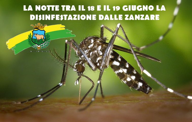 #MANZIANA: NELLA NOTTE TRA IL 18 E IL 19 GIUGNO LA DISINFESTAZIONE CONTRO LE ZANZARE
Per informazioni e comunicare eventuali allergie al prodotto utilizzato: comune.manziana.rm.it/?p=14988
