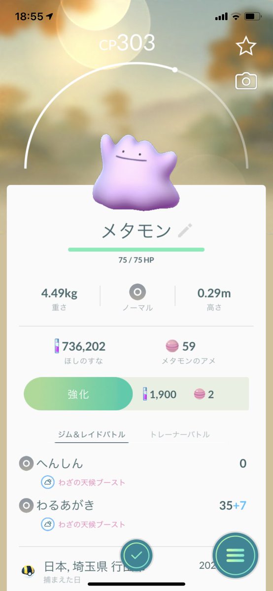 おいドンメルがメタモンになったぞ ドンメル メタモン ポケモンgo レイドアワー スポットライトアワー ツイレポ おいドンメルがメタモンになったぞ ドンメル メタモン ポケモンgo レイドアワー スポットライトアワー ツイレポ