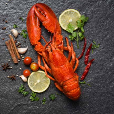 We have Local Lobster from the Solway-Firth available this week!
order on 01539559544
#seafood #eatlocal #eatwell