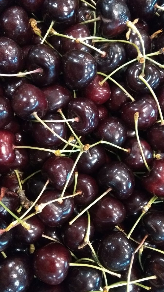 MasQueBio1's tweet photo. ¡Mirad qué #cerezas ecológicas tenemos hoy! 
Date prisa si no quieres quedarte sin ellas porque vuelan!! #leonesp https://t.co/uOct6RNn0E
