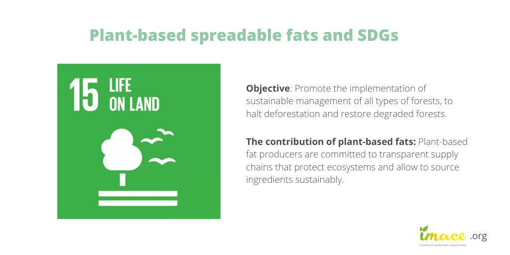 Preserving our #land and #ecosystems is key for #sustainable development. The #margarine sector is committed to sustainable sourcing and to halting #deforestation. That is our contribution to <a href="/UN/">United Nations</a> Sustainable Development Goal 15 'Life on Land' 🌳