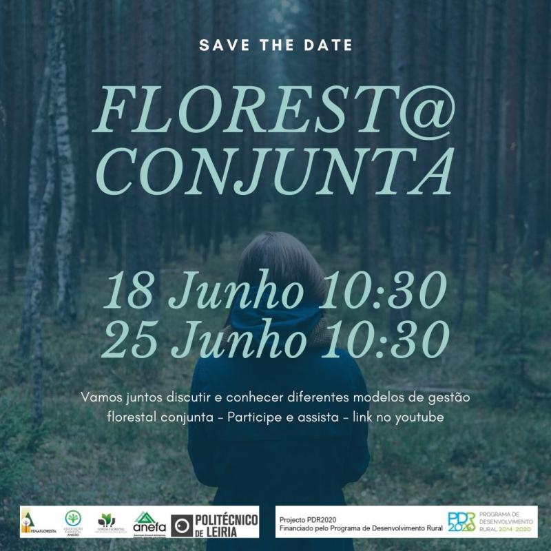 Nos próximos dias 18 e 25 de Junho, disponível no canal de youtube lnkd.in/dVW7ti6 para visualização o seminário web participativo, a parceria realizará dois webinares para a apresentação pública do projecto e dos seus resultados, com a participação de <a href="/GEFRECON_POCTEP/">GEFRECON. Gestión Forestal Conjunta. POCTEP</a>