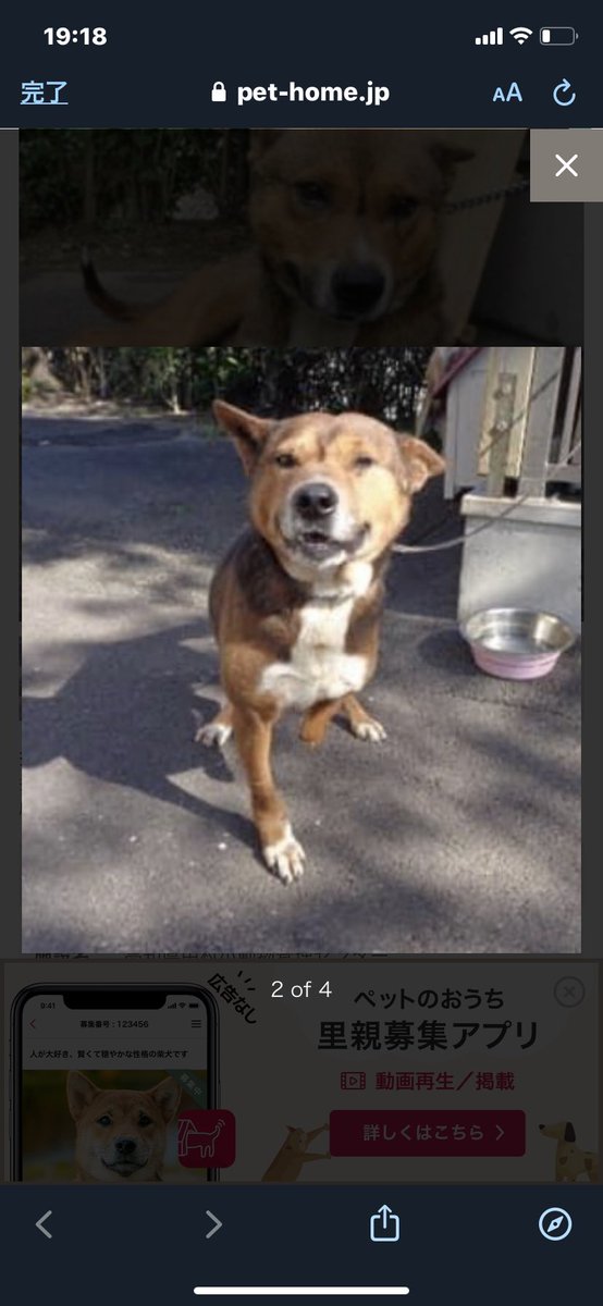 ペットのおうち アプリ 無料