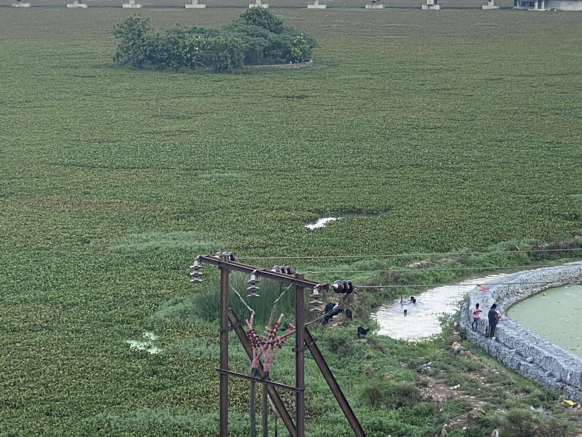 K_Kataruka's tweet photo. Day 2 - no work? @rmccommissioner @sanjeevkrvijay @SethSanjayMP #savebadatalab @ravipshahi @AjayBha74088082 @atulgera007 @hoomantic @starchangemaker @bikashsingh1955 स्थानीय लोग बकरी भी चरा रहे है अब तो तालाब में। @pathakvk https://t.co/AHzRbePdVC