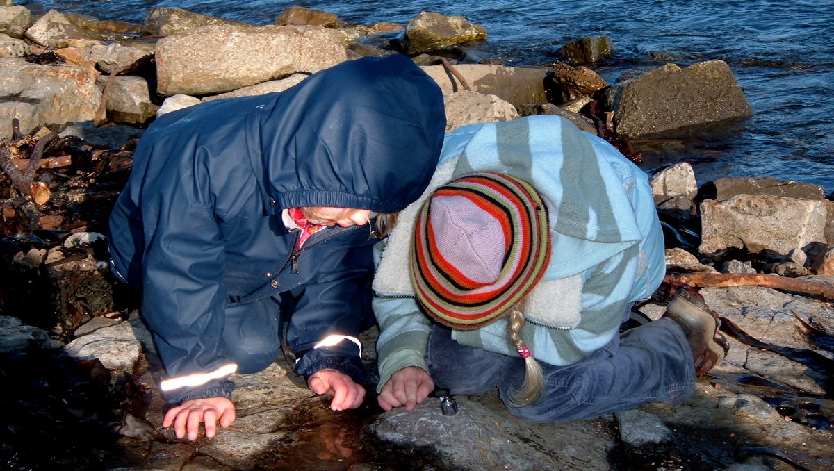 Join us on Thu 25 June, 2-4 pm for "360° View – Scotland’s geological assets". Formal dissolution of the Scottish Geodiversity Forum, and looking to a bright future with the Scottish Geology Trust as an active and engaging hub promoting Scotland's geology
scottishgeologytrust.org/whats-on/
