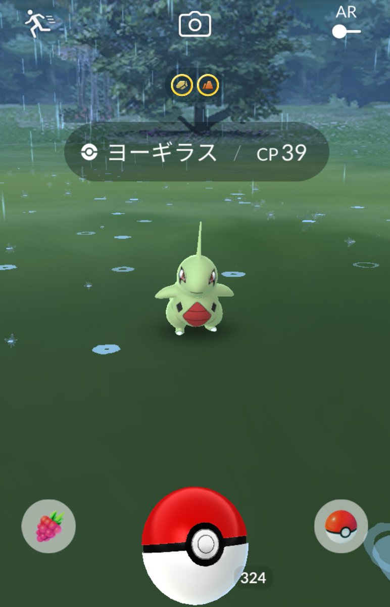 ドンメル Twitter Search ドンメル Twitter Search
