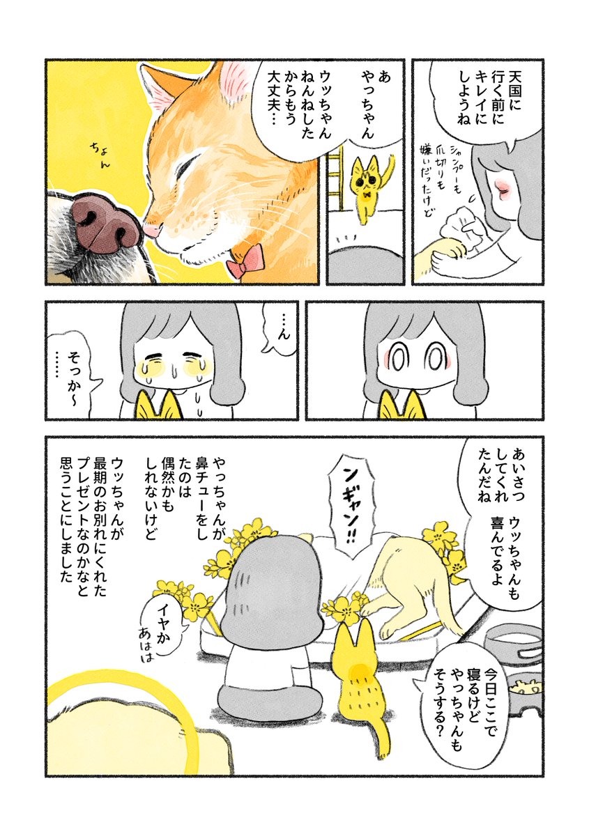 やっちゃんとウッちゃん?? 