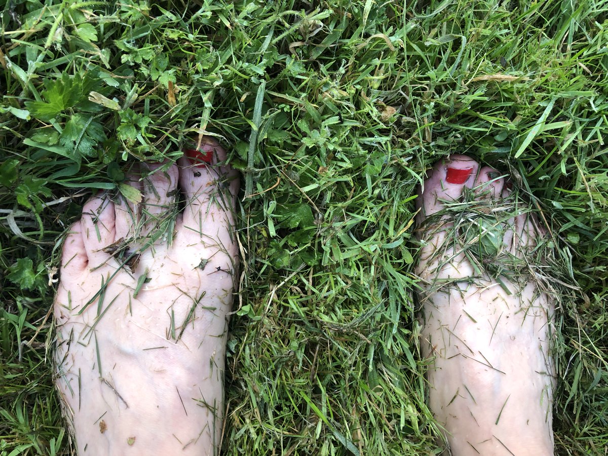 "My tours aim for the heart not the head"
Time to start <a href="/walkyourgreens/">WalkYourGreens.com</a>. 
Setting up #nature #connection &amp; #local #tours 
local nature gems - tours in SE London
nature connection with all the senses

Explorer, Dog lover, Mindful walker. Followers please change to <a href="/walkyourgreens/">WalkYourGreens.com</a>.