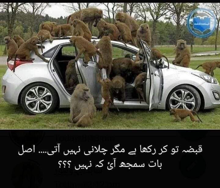 Arzookazmi30's tweet photo. #PTI government in action 😝😝 https://t.co/RkZguErIIX
