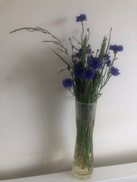 Welcome to <a href="/walkyourgreens/">WalkYourGreens.com</a>. I am 
<a href="/Monika_Dunkel/">Monika Dunkel</a> &amp; starting the business 
<a href="/DunkelgreenLTD/">dunkelgreen.com</a>. Lots of ideas for 
 #Tours, #masterclasses #localexperience in #Greenwich #SELondon 🚶‍♀️🚶‍♂️🚶your 🌲🌳🌱