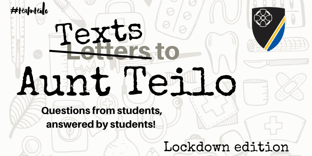 St Teilo's Literacy tweet media