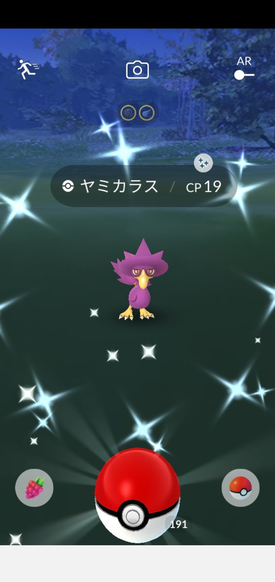 Amazinghisa A Twitter 今日のポケモンgo活動2 レシラムレイド後 またまたヤミカラスが光った まさかの8日連続色違い ﾉ W ﾉ 改めて見ると ヤミカラスに好かれてるのかな 朝活ではママンボウとラブカスの共演が見られました ポケモンgo ヤミカラス 色