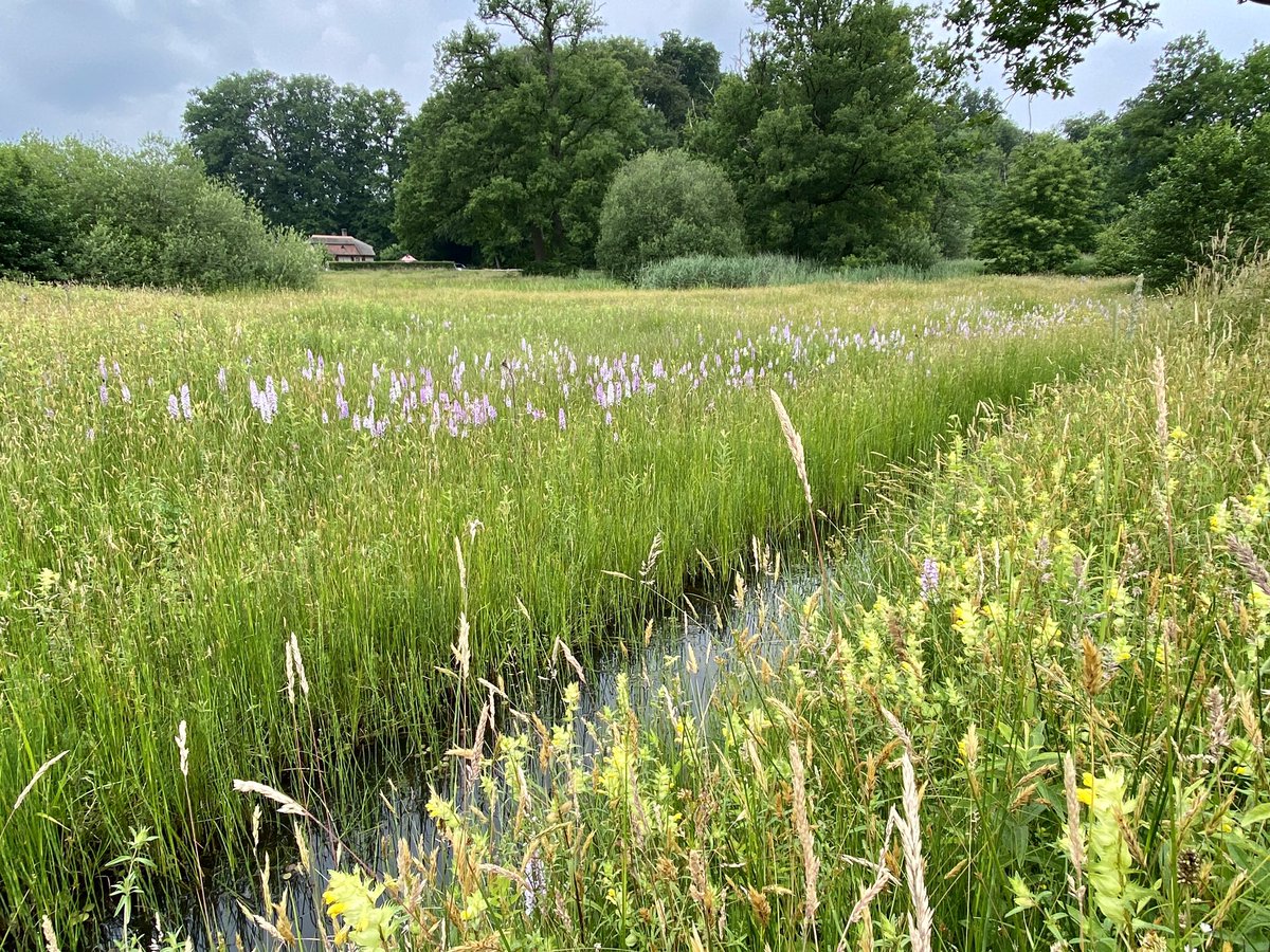 mveldhuis76's tweet photo. Bijzondere ochtend met @FranstMaten gehad. Over #landgoederen #DeBoom #Geerestein #DenTreek gefiets. Bedenker van de #klompenpaden, en hij realiseerde ook 250 #poelen in zijn periode bij @LandschErfgoed #Utrecht. @ValleienVeluwe #erfgoed #natuur https://t.co/MWhDf1OE7O