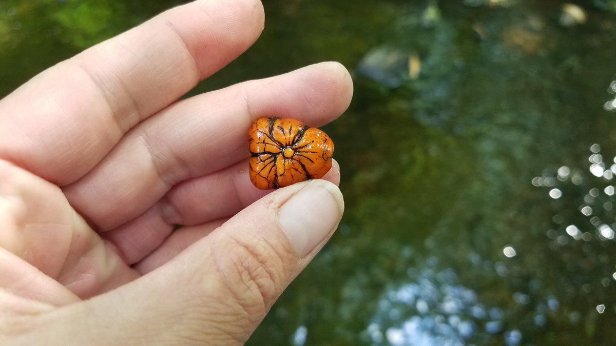 Lovely bead found river walking last evening 💕
#treasurehunting #treasurehunter #treasure #adventure #bead #riverwalking #lovely