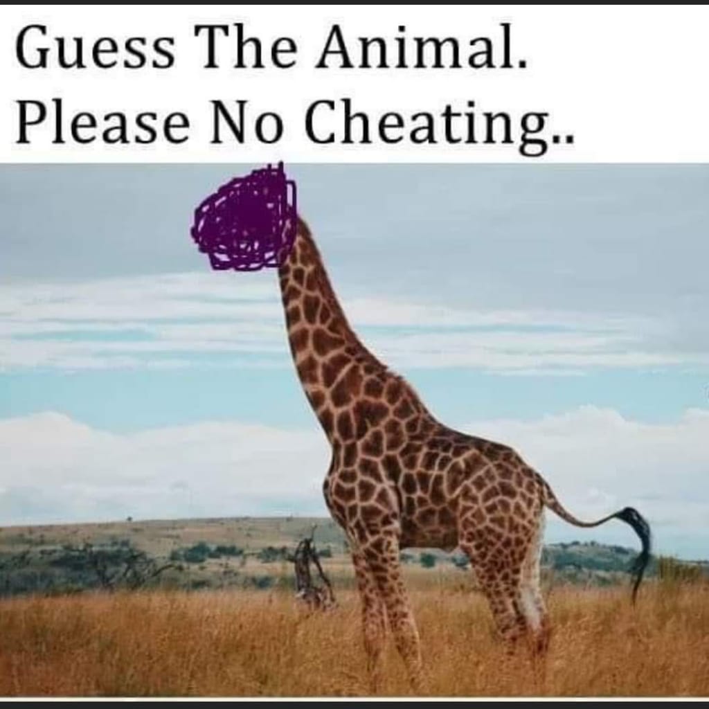 JohnnyGachanja's tweet photo. USIU Psychology exam be like https://t.co/j5jnE9fe9p