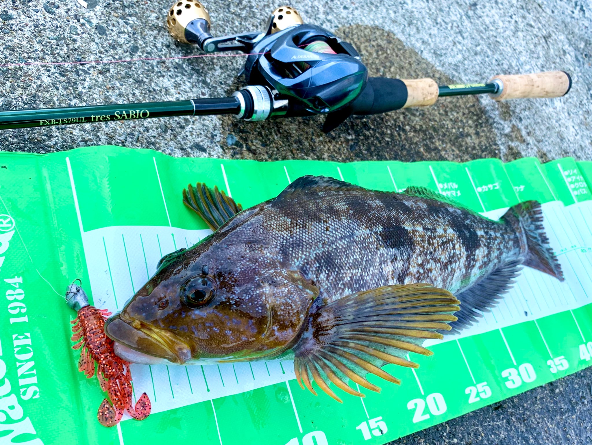 佐藤 宏樹 今日も夜勤帰りにミドルゲーム 今日の相棒はサビオ アルデmgl ジュラクロー2 5ベンケイレッドにダイバーダウン10g リフト フォールで誘っていると ドォン この時期らしく重く強い引き このサイズのアイナメならサビオが