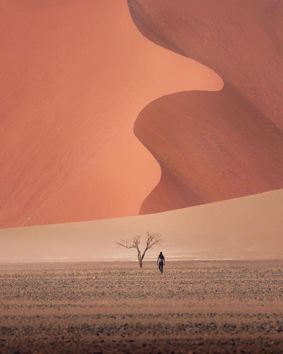 JavalavaTours's tweet image. 📍 Namib Desert #Namibia🇳🇦⁣ #EndlessHorizons #DiscoverNamibia #VisitNamibia #ExploreNamibia #NamibiaTourism #desert #amazing #beautifulplace #travelphotography #beautifuldestinations #traveltheworld #travel #rt #wanderlustXL #stayhomefornow #travelsoon 

📸 karl_shakur