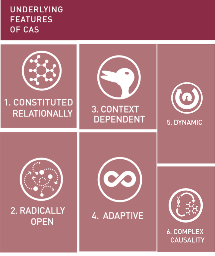 Sys_innovation's tweet photo. Six key organising principles that bring about the features and qualities of complex adaptive systems by @Rikatier
https://t.co/FMGqTFL406 https://t.co/Lvr1Zcehlm