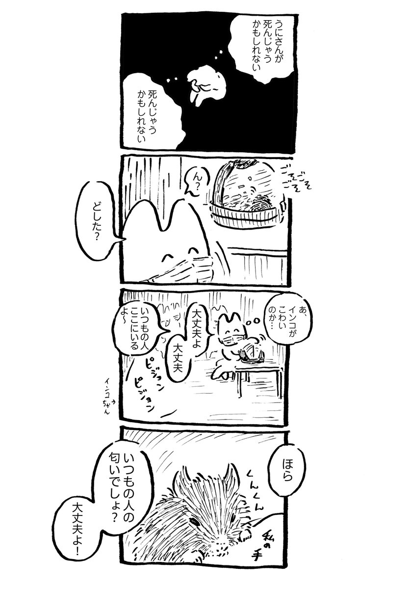 うにさんと私67  #うにさんと私 #創作漫画 #エッセイ漫画 