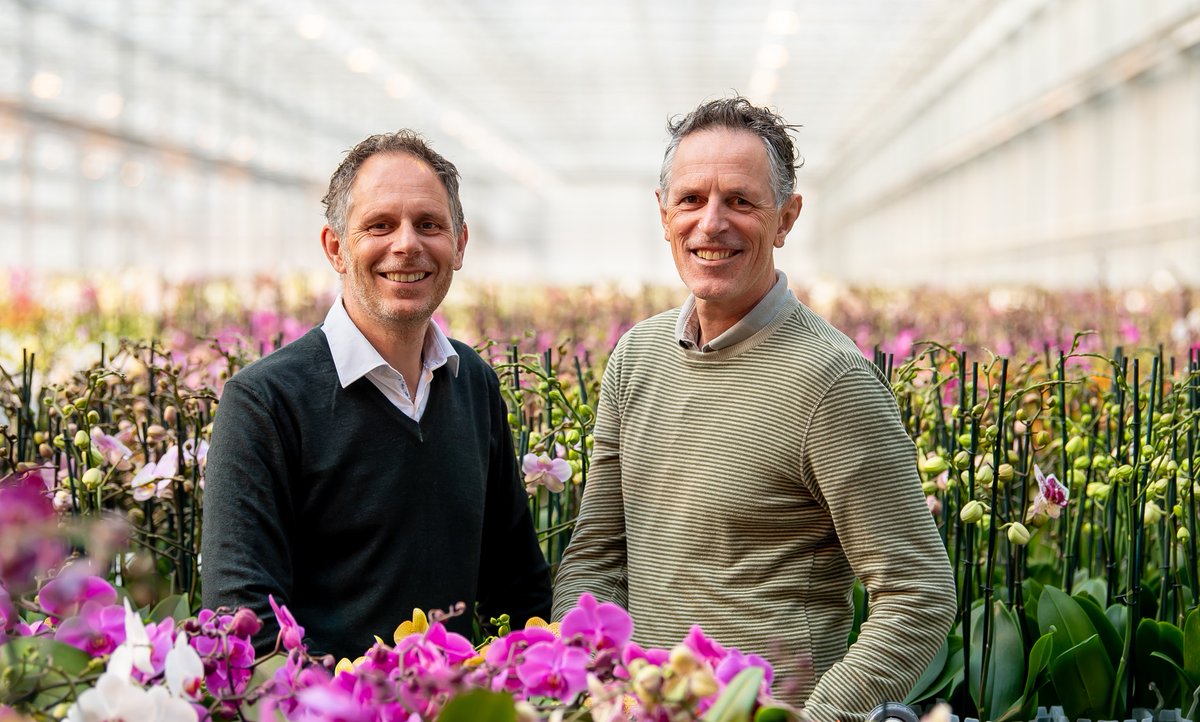 Ter Laak Orchids over 100% Digitaal: "Zie het als een kans!". Ben je benieuwd welke voordelen van 100% Digitaal Ter Laak Orchids ervaart en hoe zij het hebben aangepakt? Check het interview!👀📝
floriday.io/nl/update/ter-…