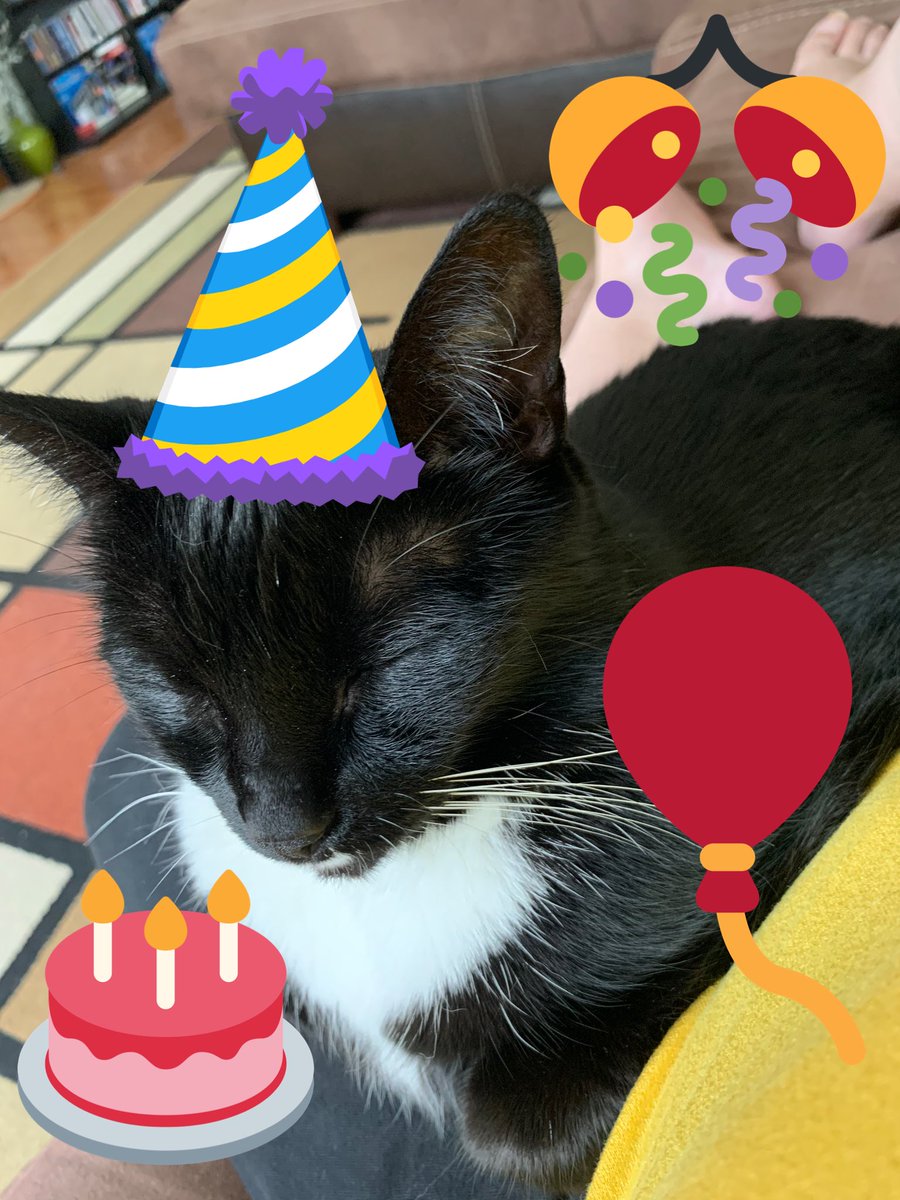 Happy birthday @Tonithecat32 ! I hope mew has the bestest day with lots of love, snuggles, fun, treats, & everything mew enjoys! ๐๐พ https://t.co/UopsmL9uQT