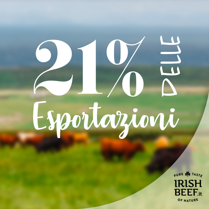 La carne bovina è, di gran lunga, la categoria più grande all'interno del settore della carne, rappresentando il 21% delle esportazioni di alimenti e bevande dall'Irlanda.